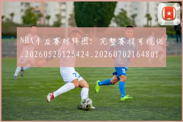 NBA季后赛对阵图:完整赛程可视化_20260526125424_20260702164801