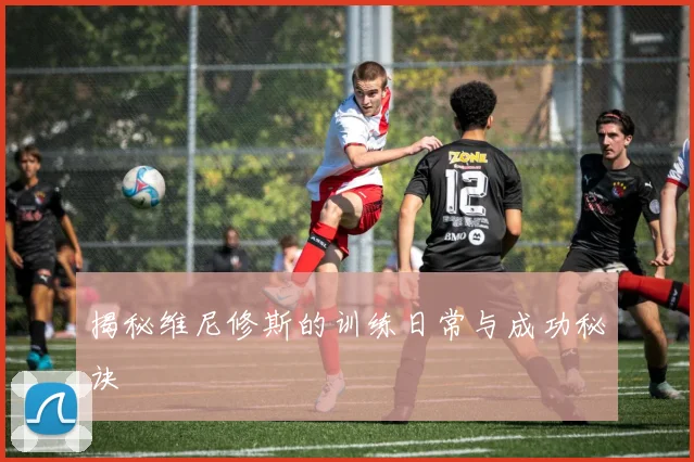 揭秘维尼修斯的训练日常与成功秘诀